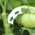 Herbgarden Plant Support Clamps - kolanka wspierające rośliny 50szt  Growshop -sklep ogrodniczy we Wrocławiu, Warszawie i Poznaniu
