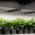 AC Infinity IONFRAME EVO8 730W 3.14 µmol/J Lampa LED Grow Full Spectrum Samsung LM301H EVO do 150x150cm  Growshop -sklep ogrodniczy we Wrocławiu, Warszawie i Poznaniu