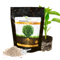 MYKORIZA PREMIUM 20g - MIKORYZA (18 grzybów), TRICHODERMA (9 gatunków), BAKTERIE I MIKROORGANIZMY W PROSZKU, 400% WIĘKSZY KORZEŃ  Growshop -sklep ogrodniczy we Wrocławiu, Warszawie i Poznaniu
