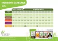 MYKORIZA PREMIUM 20g - MIKORYZA (18 grzybów), TRICHODERMA (9 gatunków), BAKTERIE I MIKROORGANIZMY W PROSZKU, 400% WIĘKSZY KORZEŃ  Growshop -sklep ogrodniczy we Wrocławiu, Warszawie i Poznaniu