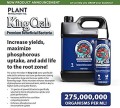Plant Success King Crab 473ml - 275 mln pożytecznych bakterii  Growshop -sklep ogrodniczy we Wrocławiu, Warszawie i Poznaniu