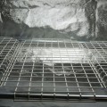 Półka do Dark Propagator 120GS (60x40cm)  Growshop -sklep ogrodniczy we Wrocławiu, Warszawie i Poznaniu