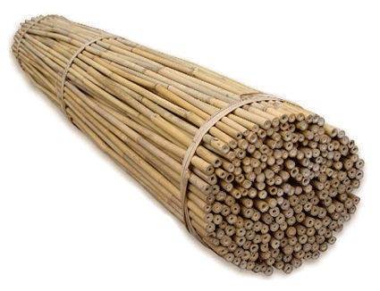Tyczki bambusowe 10szt. 60cm Growshop -sklep ogrodniczy we Wrocławiu, Warszawie i Poznaniu