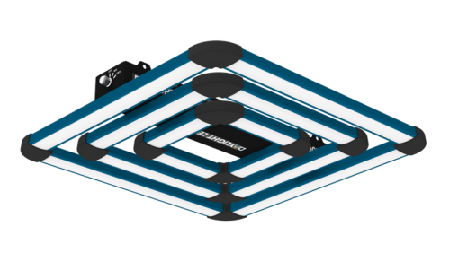Maxibright Daylight 300W - quantum board LED Growshop -sklep ogrodniczy we Wrocławiu, Warszawie i Poznaniu