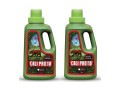 Emerald Harvest Cali Pro Bloom A+B 2x950ml  Growshop -sklep ogrodniczy we Wrocławiu, Warszawie i Poznaniu