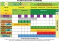 DutchPro Hydro/Coco Grow A+B 1L (AUTO FLOWERING)  Growshop -sklep ogrodniczy we Wrocławiu, Warszawie i Poznaniu