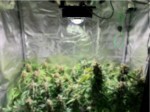 firesun_150W_2.jpg