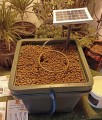 GHE Autonomiczny System hydroponiczny AquaFarm 45L + Solar Panel  Growshop -sklep ogrodniczy we Wrocławiu, Warszawie i Poznaniu