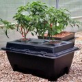 KOMPLETNY SYSTEM HYDROPONICZNY OXYPOT, 70L, 83x58.5xh38cm, 2 PLANTY  Growshop -sklep ogrodniczy we Wrocławiu, Warszawie i Poznaniu