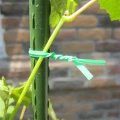  Herbgarden Garden Tie Straight Pre-cut - Zielony drut ogrodniczy 25cm 100szt   Growshop -sklep ogrodniczy we Wrocławiu, Warszawie i Poznaniu