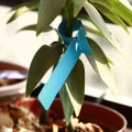 Herbgarden Plant Wrap Tags Blue - samozaciskowe etykiety na rośliny 2x21cm | 100szt   Growshop -sklep ogrodniczy we Wrocławiu, Warszawie i Poznaniu