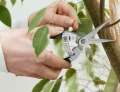 Herbgarden Spring Scissors - nożyczki sprężynowe do przycinania roślin  Growshop -sklep ogrodniczy we Wrocławiu, Warszawie i Poznaniu