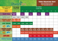 DutchPro Soil Bloom A+B 1L  Growshop -sklep ogrodniczy we Wrocławiu, Warszawie i Poznaniu